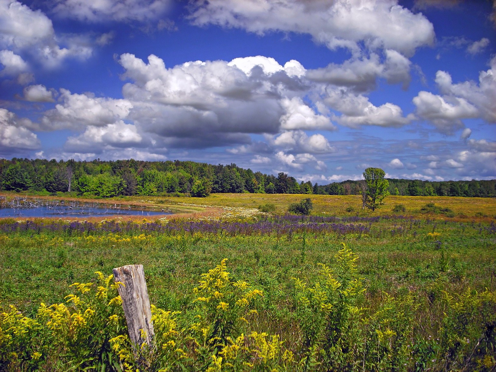 RUSH NEWS: Invite a First-Timer for Free Hunting Days Sept. 5-6