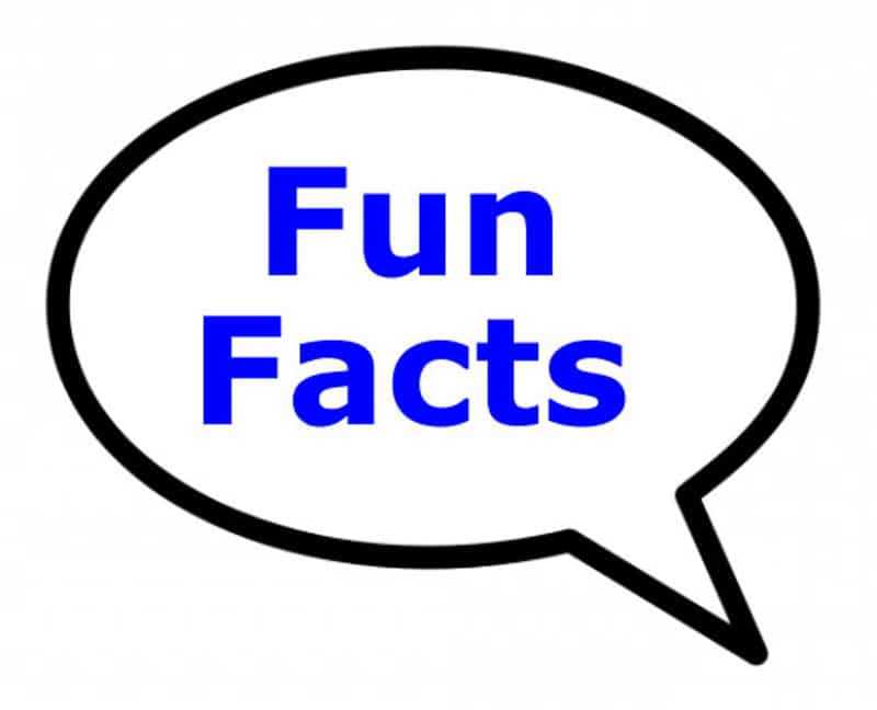 Fun Facts About Potatoes