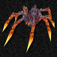 orange magma spider