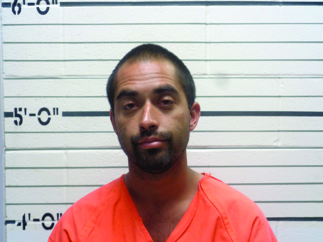 Mugs & Drugs: The Local Crime Report