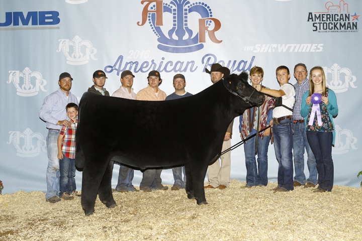 Hudgins Shows At American Royal